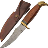11" Eagle Head Hunter Damascus Steel Knife View 2 (DM-1347)