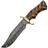12" Damascus Steel Walnut Olive Wood Braided Sawback Hunting Knife - Frontier Blades