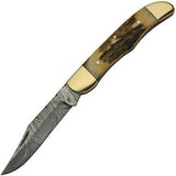 8" Damascus Steel Stag Antler Hunting Pocket Knife - Frontier Blades