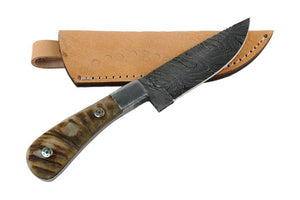 Damascus Skinning Knife Fixed Blade W/ Ram Horn Handle (DM-55)