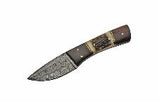 8" Stag & Wood Short Damascus Skinning Knife - Frontier Blades