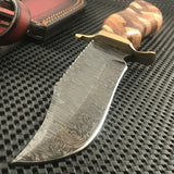 12" Damascus Steel Walnut Olive Wood Braided Sawback Hunting Knife